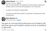 Israel Actualités : Amsterdam : le tweet de Marie Mesmeur député LFI provoque un tollé (et consterne à gauche)