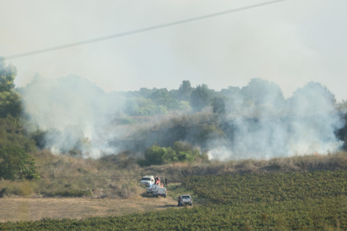 Smoke billows after a missile attack from Yemen in central Israel, September 15, 2024. REUTERS/Ronen Zvulun