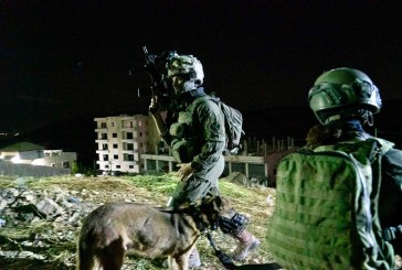 Opération Shover Galim : 5 personnes arrêtées dans toute la Judée-Samarie