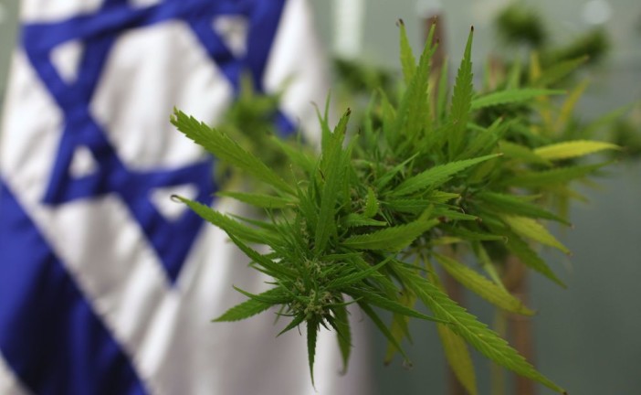 La police israélienne démantèle un réseau de médecins qui a vendu illégalement du cannabis médical